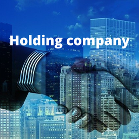 Read more about the article Benefits of using a holding company in Canada